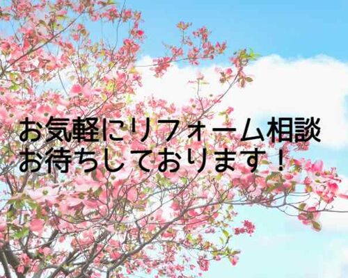 ブログ１