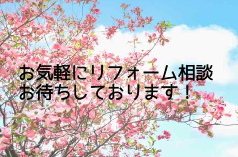 ブログ１